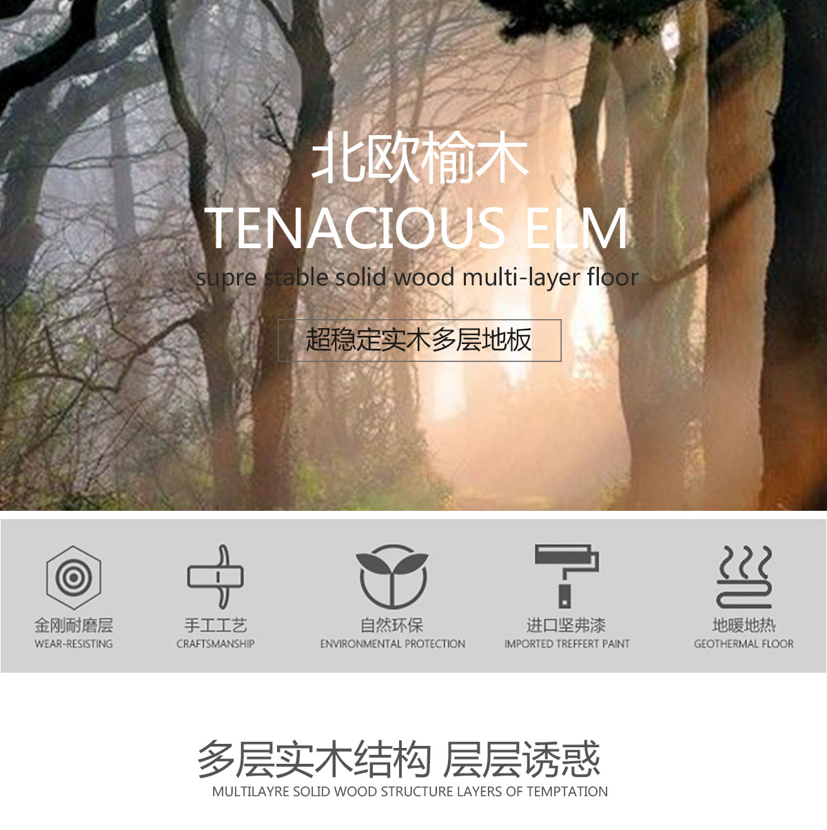 FG2013榆木（金秋歲月）產(chǎn)品特點_01.jpg