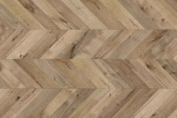 1568514895632265.jpg 20190814_164729_001.jpg